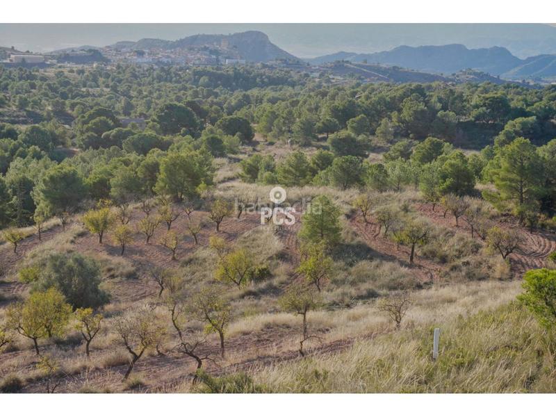 Foto 321d3926-1a3f-402f-9daf-3503faf8e221. Chalet in zona Totana - aledo s/n in Totana