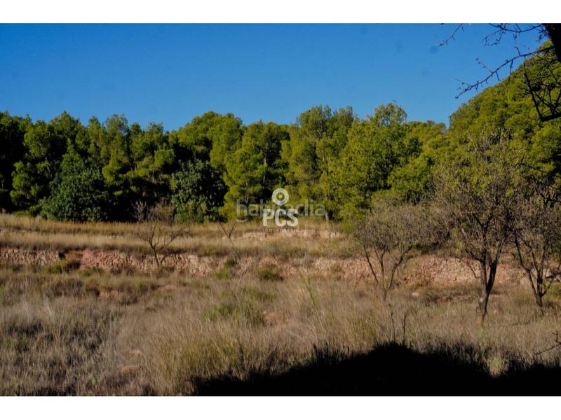 Foto c62d46da-0ced-4609-ba22-0d44dd9aa40a. Chalet in zona Totana - aledo s/n in Totana