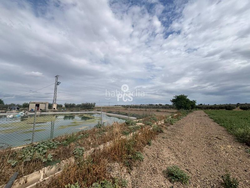 Foto 17962d39-2716-4df2-a01d-2a5c69c33339. Finca rústica a calle zona pareton s/n a Totana