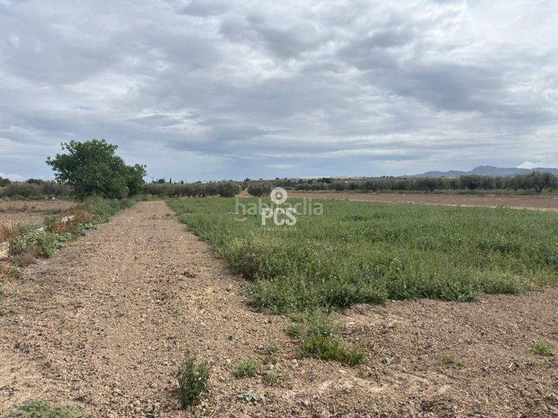 Foto 1b70e036-87b9-4263-908b-e7bcc11f6528. Finca rústica a calle zona pareton s/n a Totana