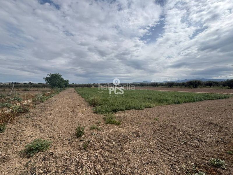 Foto 1c24319a-56e6-490e-9034-79cef54b486a. Finca rústica a calle zona pareton s/n a Totana