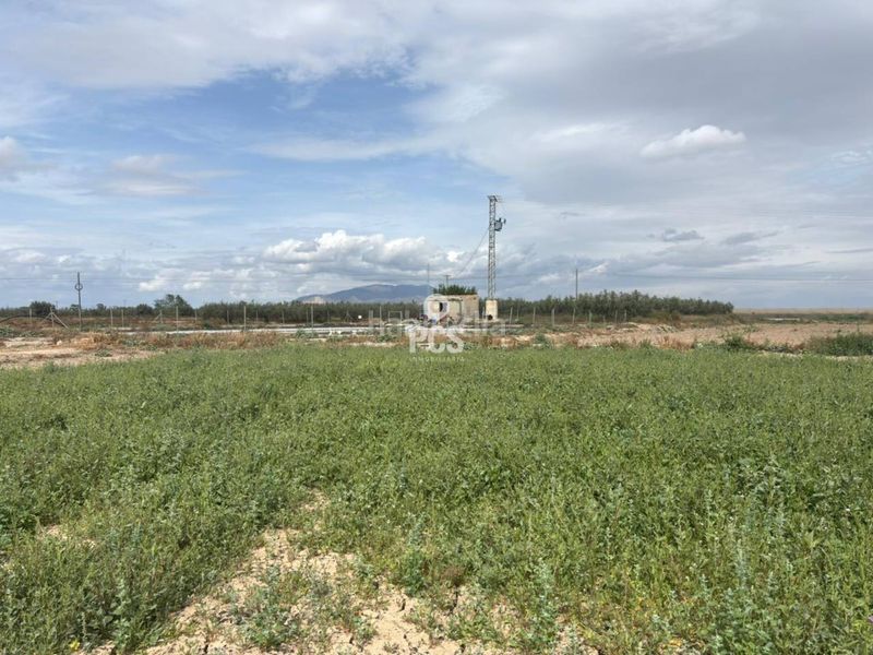 Foto 2918eac3-e077-4498-9960-336c93444ff8. Finca rústica a calle zona pareton s/n a Totana