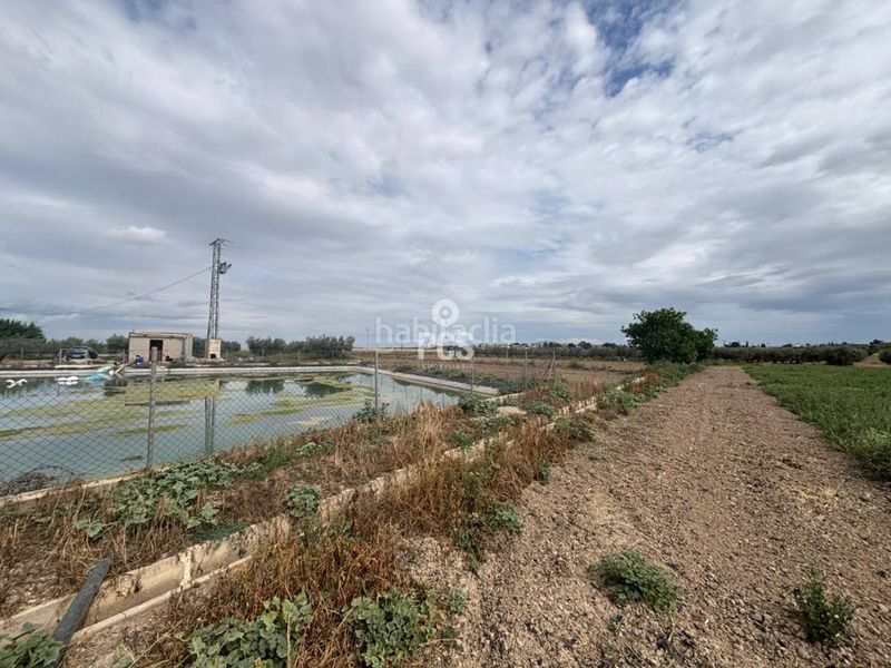 Foto 4818d461-19d1-4bc7-a888-0e000689936d. Finca rústica a calle zona pareton s/n a Totana
