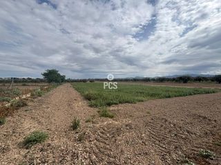 Fondo rustico in Calle zona pareton s/n. Venta de terreno llano de 2900 m en totana