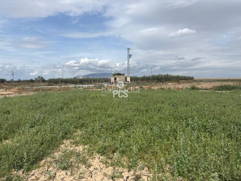 Foto f309f4d4-adb0-4bd4-93cd-757f198a237a. Finca rústica a calle zona pareton s/n a Totana