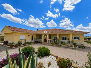 Chalet  Calle zona raiguero s/n. Villa en venta en totana con amplia superficie y excelentes pres