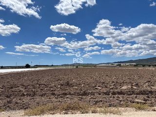 Landgut in Calle zona la canal raiguero 1. Venta de terreno llano de 15,000 m en totana