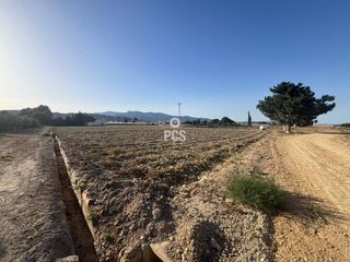 Finca rústica a Calle Zona Las Suertes S/N