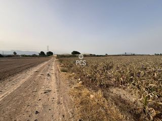 Finca rústica a Calle zona la barquilla amorosos s/n. Venta de terreno llano de 7000 m en totana