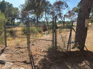 Rural plot in Calle urbanizacion la charca s/n. Venta de terreno en totana