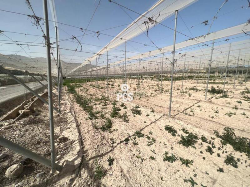 Foto 08f1c3c6-9bc2-4bc3-8904-8438bd596710. Finca rústica en los secanos s/n terreno en venta en Totana