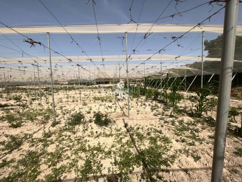 Foto 453d9fe0-9abb-4fed-8461-6996297c3997. Finca rústica en los secanos s/n terreno en venta en Totana