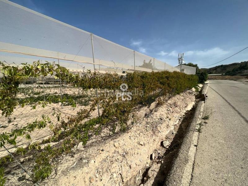 Foto 5b1a30a5-fa49-45ae-bc48-7357f7b6807c. Finca rústica en los secanos s/n terreno en venta en Totana