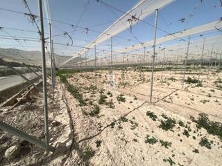 Propriété à Los secanos s/n. Terreno en venta en totana