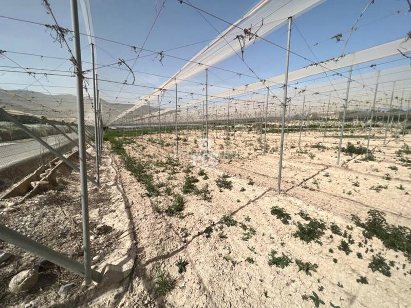 Foto 81047054-664c-4639-a5e6-5296fc5cc009. Finca rústica en los secanos s/n terreno en venta en Totana