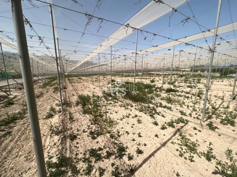 Foto 941a576b-13f5-4eba-8688-1ea09ef09deb. Finca rústica en los secanos s/n terreno en venta en Totana