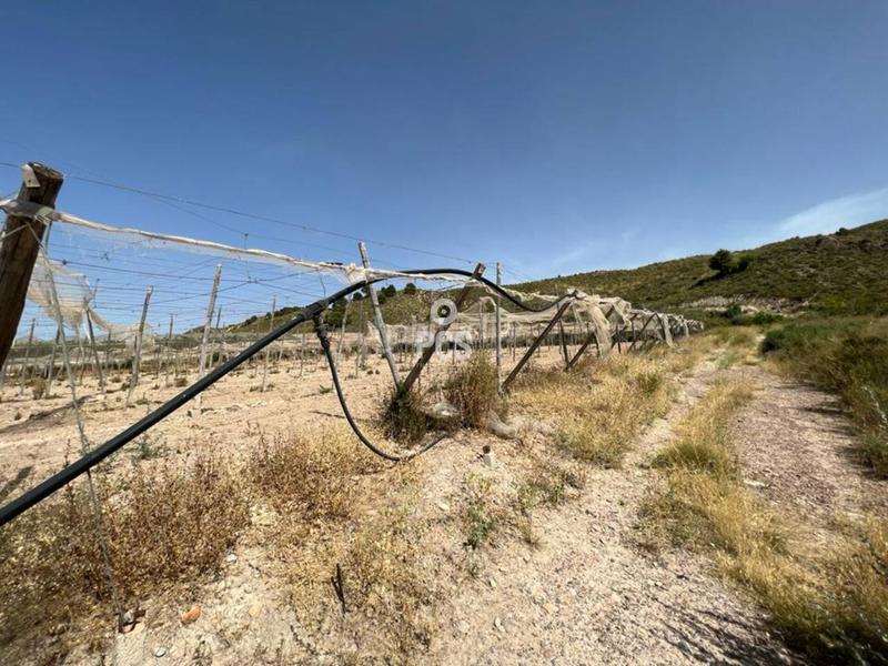Foto b2deb8f3-157c-4acc-90f1-71105295d5ed. Finca rústica en los secanos s/n terreno en venta en Totana