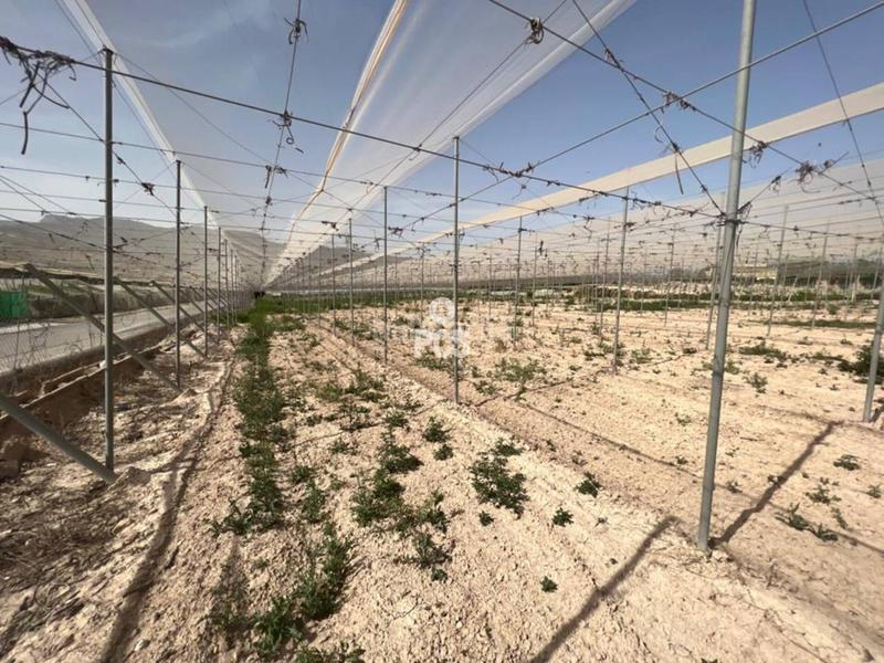 Foto b9670244-6783-403c-8774-9972eaa17222. Finca rústica en los secanos s/n terreno en venta en Totana