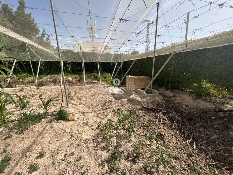 Foto dacf32fc-9648-4b15-8d69-439da0a03f83. Finca rústica en los secanos s/n terreno en venta en Totana