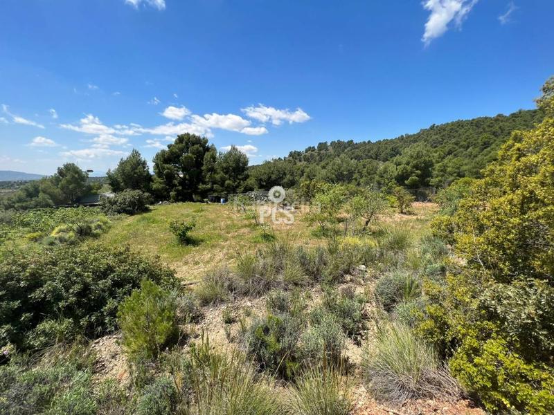 Foto 53458e02-afe9-4e20-993f-983a8b588891. Chalet en carretera caruana s/n chalet en venta en Totana