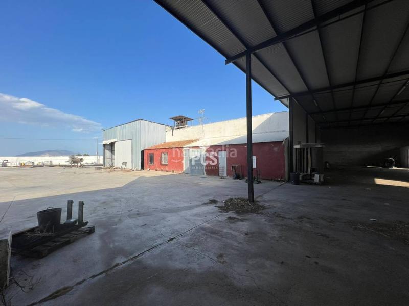 Foto c534e3ed-4ce1-4931-98eb-737ff76fe933. Nave industrial en raiguero s/n nave industrial en venta en Totana