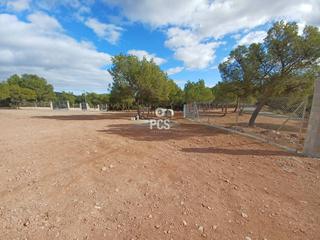 Propriété à Morti alto 8. Finca rustica en venta en totana