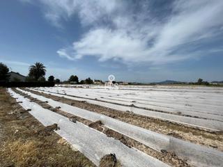 Terrain résidentiel à Camino de los tollos 0. Terreno en venta en la hoyaalmendricospurias