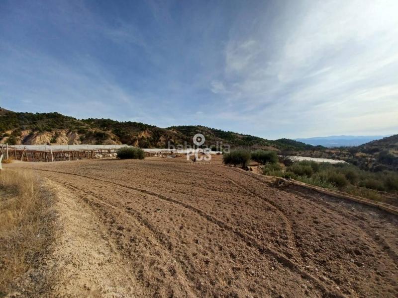 Foto 002762a5-6a5a-4d14-8b85-6989c78c99bf. Rural plot in trasvase s/n in Totana