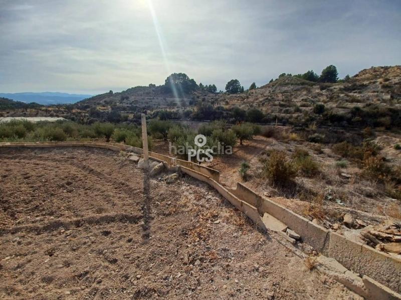 Foto 0332a5ed-38fd-4789-8f9f-eb7640722bac. Rural plot in trasvase s/n in Totana