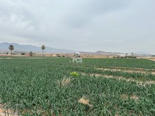 Propriété à Huertos nuevos zona ñorica s/n. Terreno en venta en totana