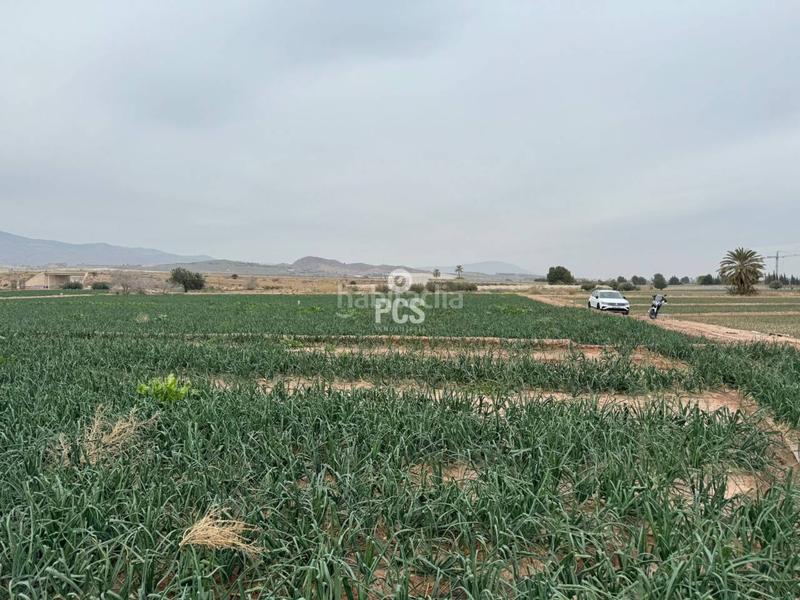 Foto 0a306d35-9e7b-4860-9112-1477ab7bdf8e. Rural plot in huertos nuevos zona ñorica s/n in Totana