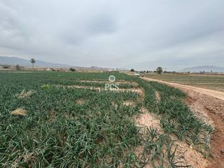 Propriété à Huertos nuevos zona ñorica s/n. Terreno en venta en totana