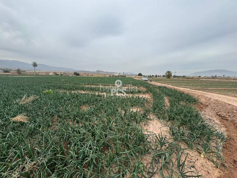 Foto 0baabf2e-a339-4576-8a24-27a64776bbdc. Rural plot in huertos nuevos zona ñorica s/n in Totana