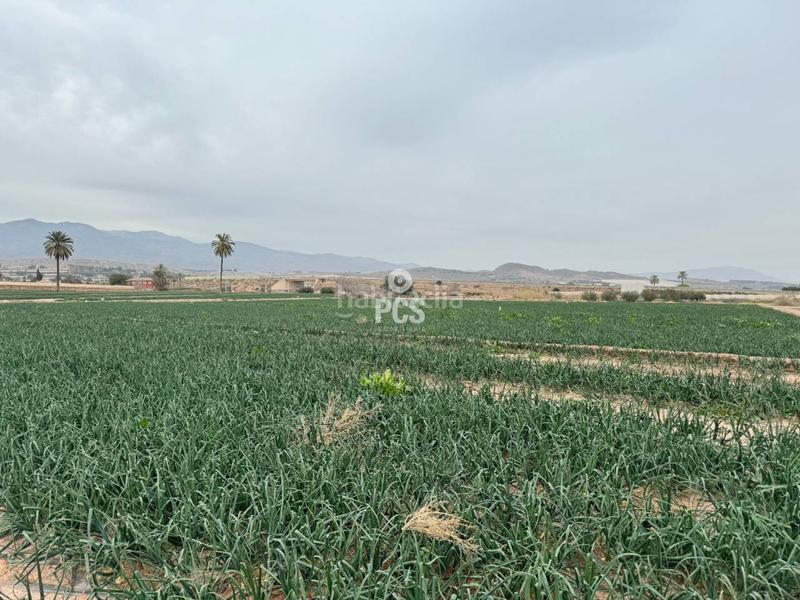 Foto 2f8630a6-438c-44a0-9e2e-f712b75426b4. Rural plot in huertos nuevos zona ñorica s/n in Totana