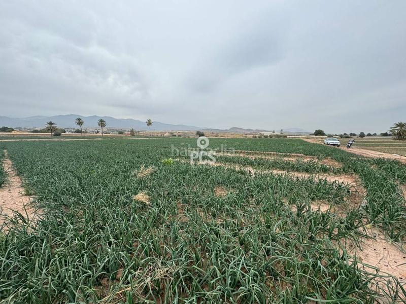 Foto 4d2d6113-6c07-4cd4-836d-85e795057ea7. Rural plot in huertos nuevos zona ñorica s/n in Totana