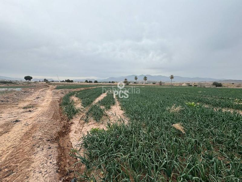 Foto 7bc9dded-38f4-4e39-bff4-1cde0b3686e7. Rural plot in huertos nuevos zona ñorica s/n in Totana