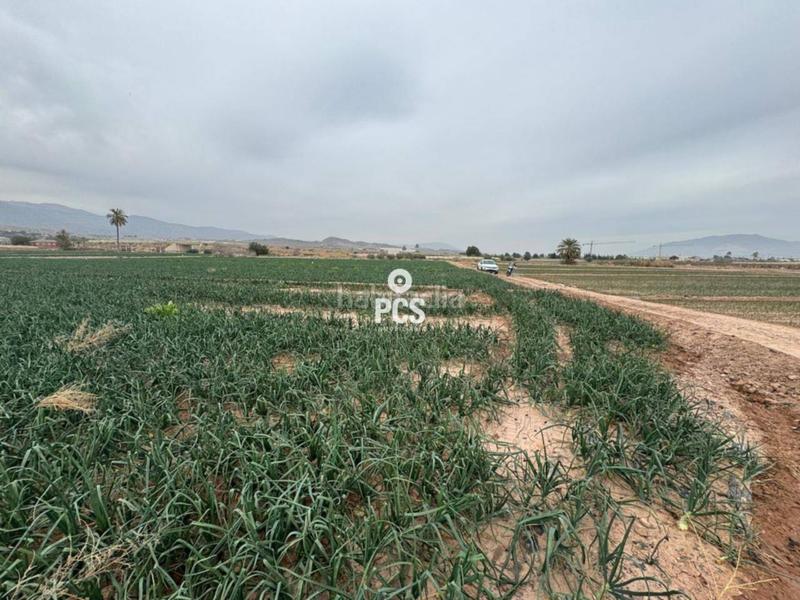 Foto e68b303c-b160-4df3-aad6-f8040cf1fa43. Rural plot in huertos nuevos zona ñorica s/n in Totana