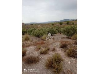 Propriété à Zona de la hoya s/n. Terreno en venta en la hoyaalmendricospurias