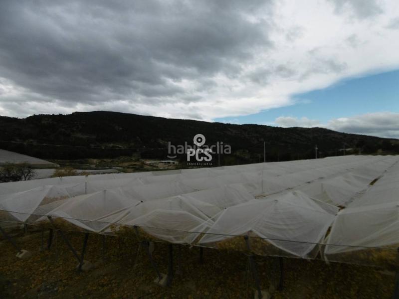 Foto 25c22133-ddf7-49ed-82d3-f09cf231c230. Landgut in los albares s/n in Aledo