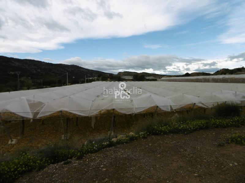 Foto 3245f002-1b93-419a-a39c-84e1a1628ca2. Landgut in los albares s/n in Aledo