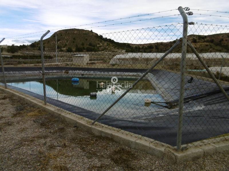 Foto 8664b738-6b22-4386-ada8-4239a8db076c. Landgut in los albares s/n in Aledo