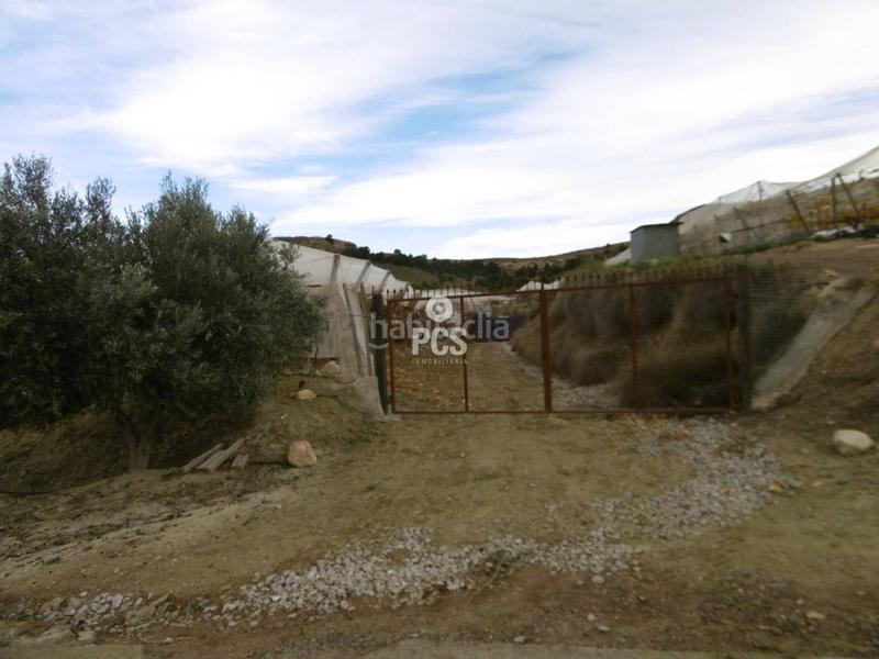 Foto 8e486b06-1a2e-4f01-8c41-e6d705998542. Landgut in los albares s/n in Aledo