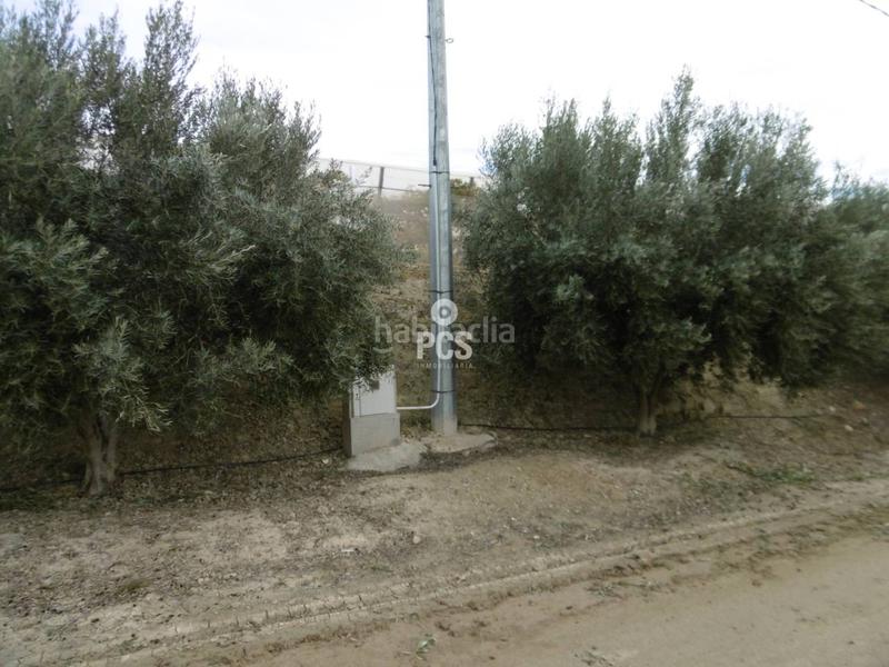 Foto 939591c5-0dc4-488e-8097-d3cd764f1ddb. Landgut in los albares s/n in Aledo