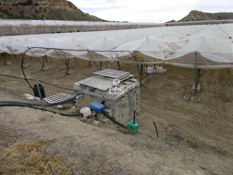 Foto ba576b50-a3b3-4768-be75-b98e123e300d. Landgut in los albares s/n in Aledo