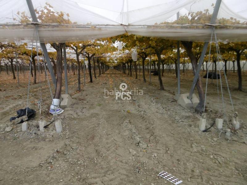 Foto ce71c89d-3190-4653-ad5d-74332958dcaf. Landgut in los albares s/n in Aledo