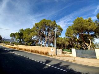 Propriété à Carretera de la santa s/n. Terreno en venta en totana
