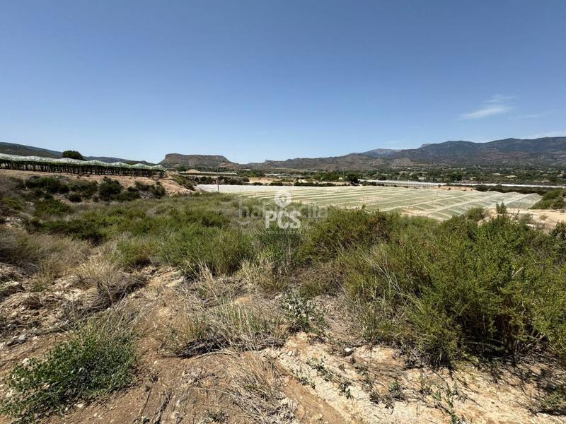 Foto 2da3a005-6442-419f-927e-072fa1e6b84f. Finca rústica en zona los secanos ´s/n terreno en venta en Totana