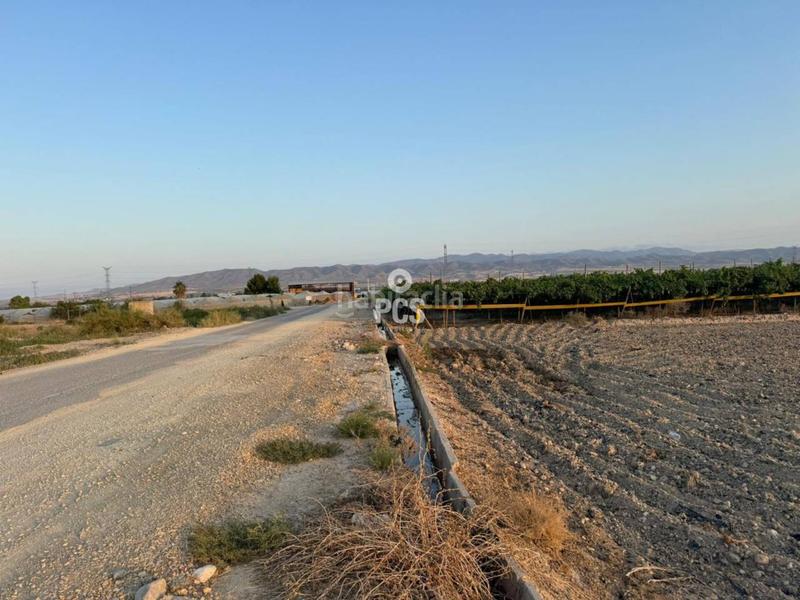 Foto 13a7e01a-e9d4-4635-8c54-d6345e221d7a. Propriété dans camino de lebor s/n dans Totana