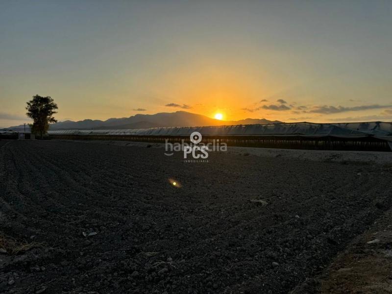 Foto 738ea9de-f267-4597-8912-1951f35b7f3a. Propriété dans camino de lebor s/n dans Totana