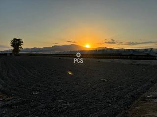 Propriété à Camino de lebor s/n. Venta de terreno en totana